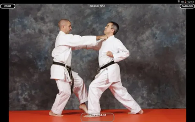 Katas 8 Shito Ryu android App screenshot 0