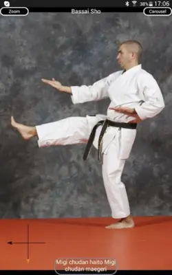 Katas 8 Shito Ryu android App screenshot 9