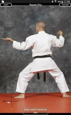 Katas 8 Shito Ryu android App screenshot 10