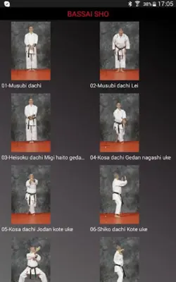 Katas 8 Shito Ryu android App screenshot 11