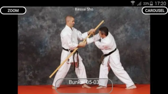 Katas 8 Shito Ryu android App screenshot 14