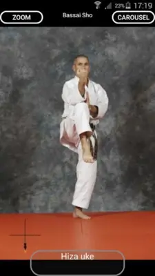 Katas 8 Shito Ryu android App screenshot 16