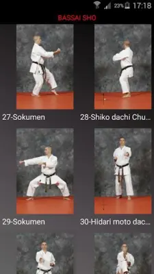 Katas 8 Shito Ryu android App screenshot 17