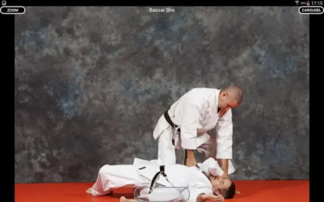 Katas 8 Shito Ryu android App screenshot 1