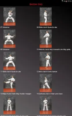 Katas 8 Shito Ryu android App screenshot 5