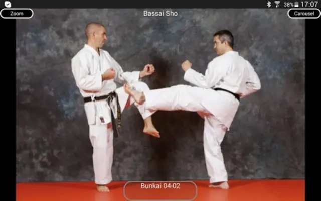 Katas 8 Shito Ryu android App screenshot 8